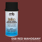 Brillo Shoe Color Spray